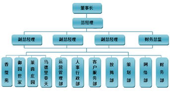 索象營(yíng)銷(xiāo)策劃公司 以專(zhuān)業(yè)咨詢(xún)策劃服務(wù)為核心的組織架構(gòu)解析