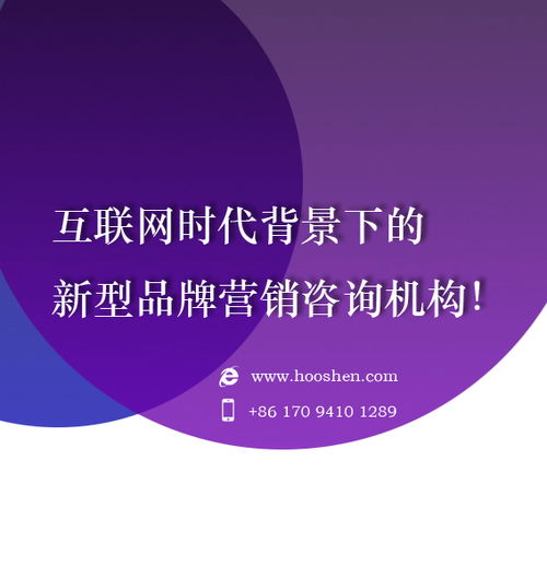 2024年十大網(wǎng)絡(luò)廣告投放公司排名與選擇指南